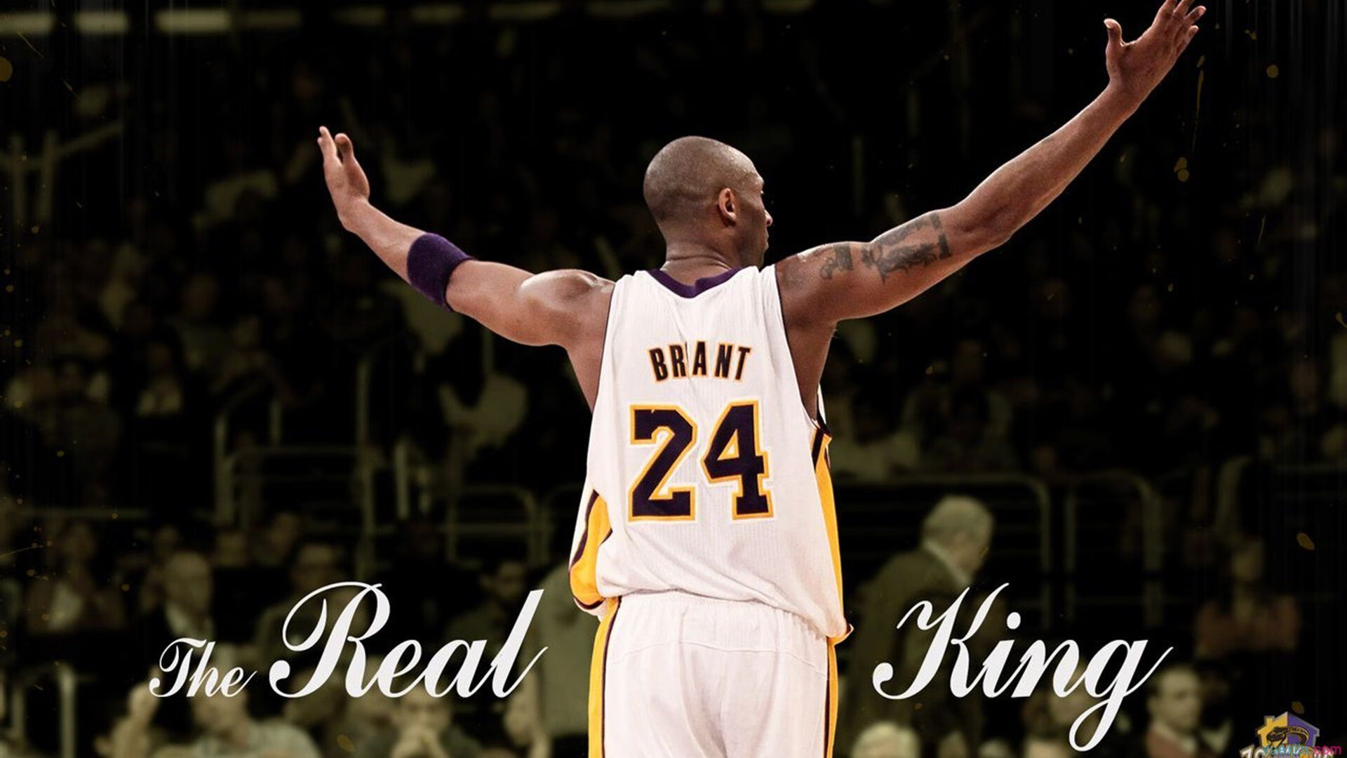 中国篮球职业联赛品牌升级提升国际传播影响力，中国职业篮球联赛的英文字母是什么